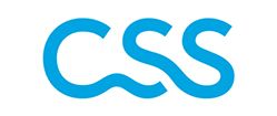 CSS.jpg